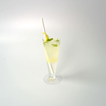 Obrázek Mint Tonic