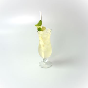 Obrázek Gin Fizz