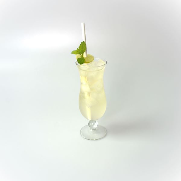 Obrázek z Gin Fizz